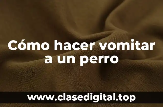 Cómo hacer vomitar a un perro