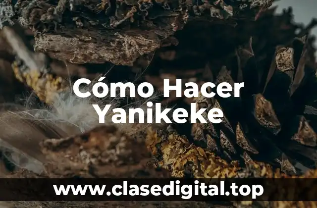 Cómo Hacer Yanikeke