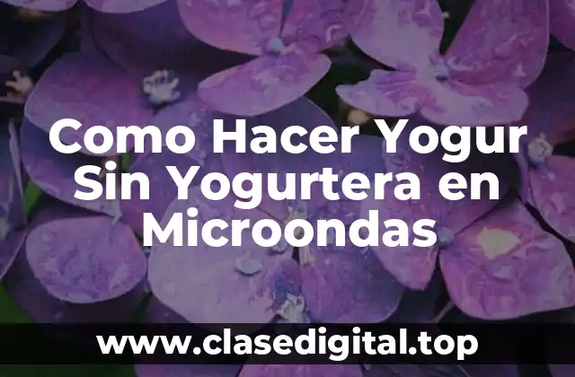 ¿Qué es el Yogur Casero y Cómo se Hace?