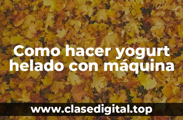 Como hacer yogurt helado con máquina