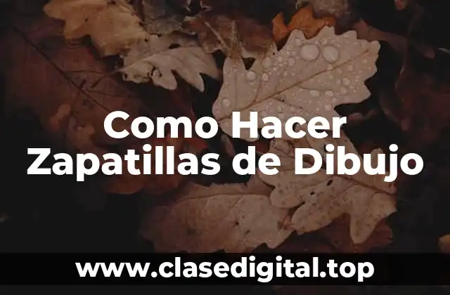 ¿Qué son las Zapatillas de Dibujo?