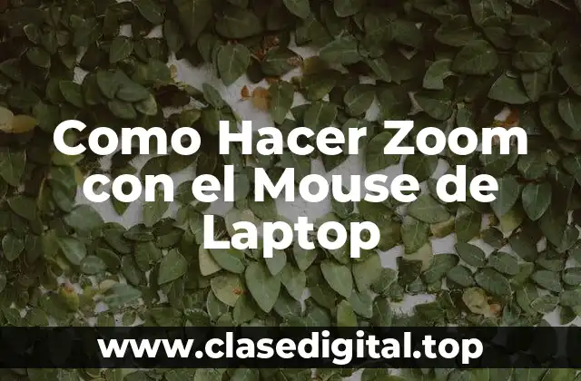 Como Hacer Zoom con el Mouse de Laptop