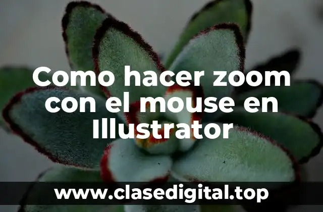 Hacer zoom con el mouse en Illustrator