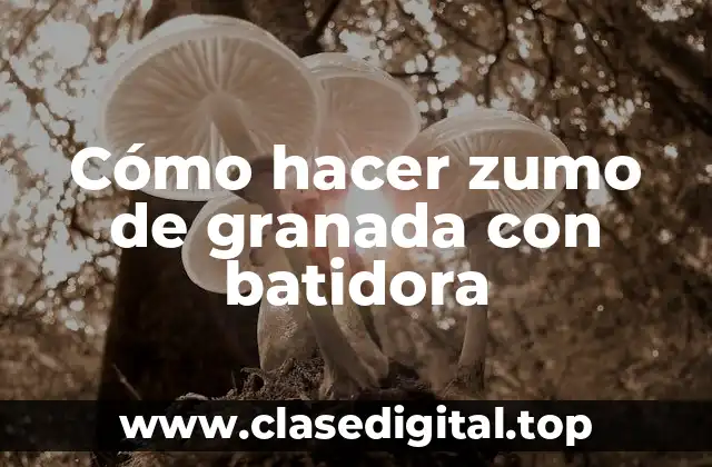 Cómo hacer zumo de granada con batidora