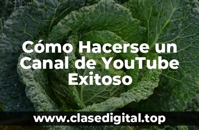 Cómo Hacerse un Canal de YouTube Exitoso