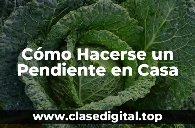 Cómo Hacerse un Pendiente en Casa