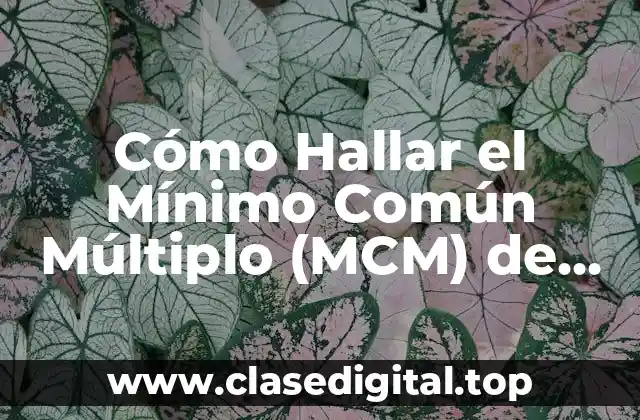 Cómo Hallar el Mínimo Común Múltiplo (MCM) de Dos o Más Números