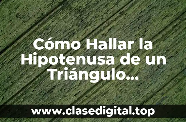 ¿Qué es la Hipotenusa de un Triángulo Rectángulo?