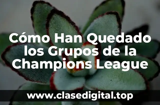 Cómo Han Quedado los Grupos de la Champions League