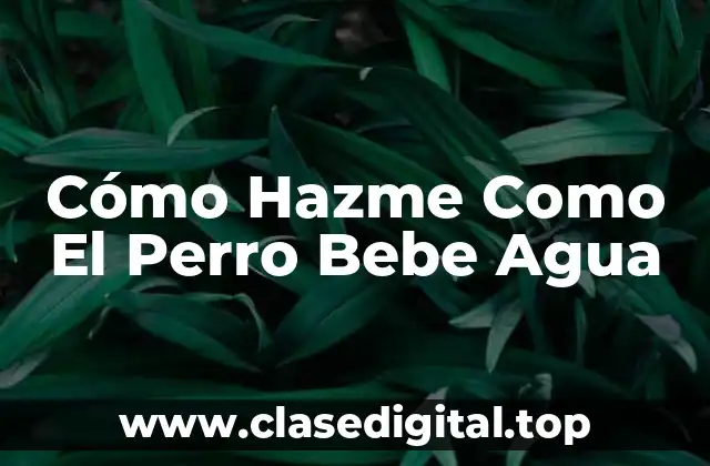 Cómo Hazme Como El Perro Bebe Agua