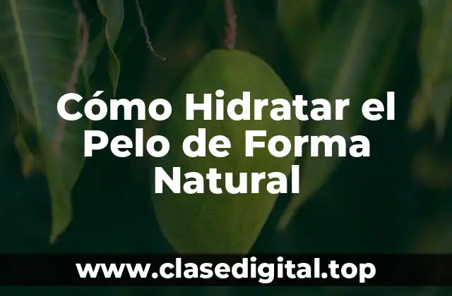 Cómo Hidratar el Pelo de Forma Natural