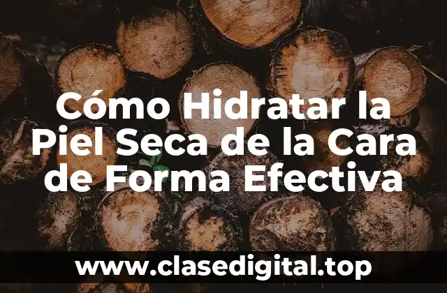 Cómo Hidratar la Piel Seca de la Cara de Forma Efectiva