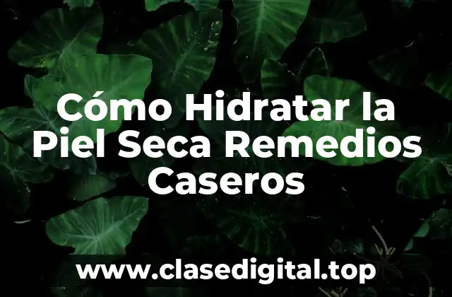 Cómo Hidratar la Piel Seca Remedios Caseros