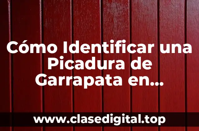 Cómo Identificar una Picadura de Garrapata en Humanos
