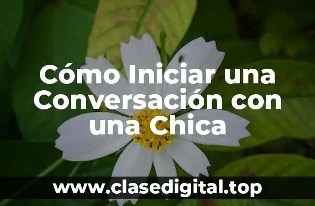 Cómo Iniciar una Conversación con una Chica