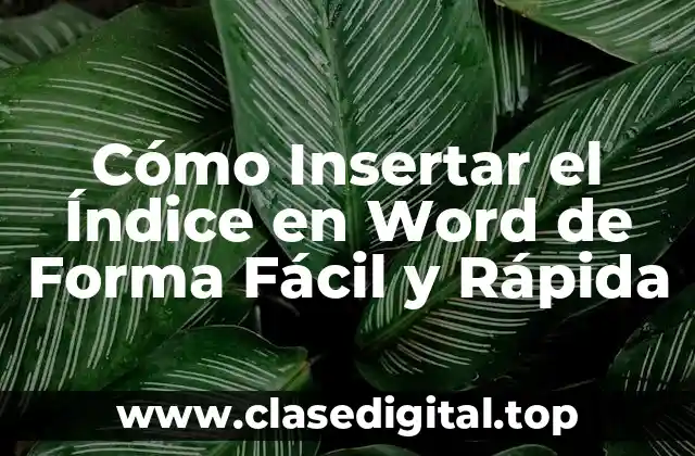 Cómo Insertar el Índice en Word de Forma Fácil y Rápida