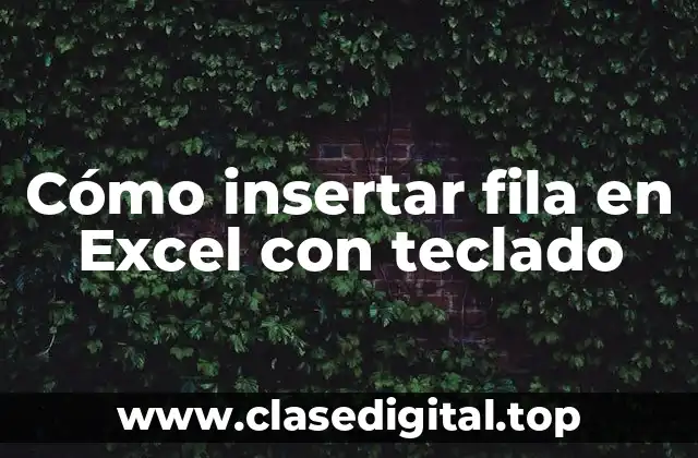 Cómo insertar fila en Excel con teclado