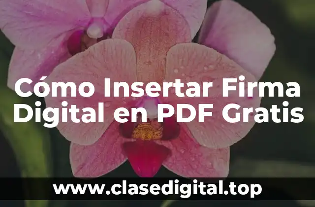 Ventajas de la Firma Digital en PDF