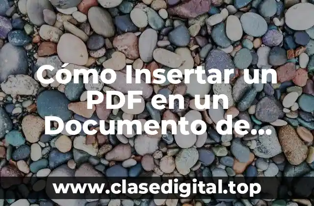 Cómo Insertar un PDF en un Documento de Microsoft Word