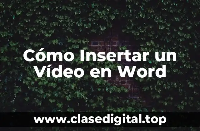 Cómo Insertar un Vídeo en Word