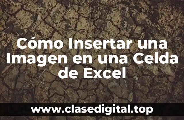 Cómo Insertar una Imagen en una Celda de Excel