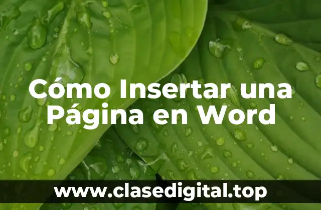 Cómo Insertar una Página en Word