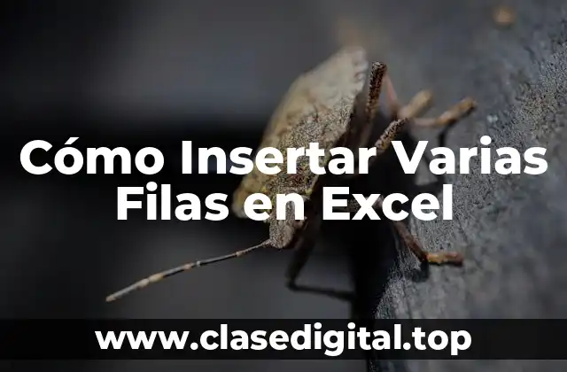 Métodos Básicos de Inserción de Filas en Excel