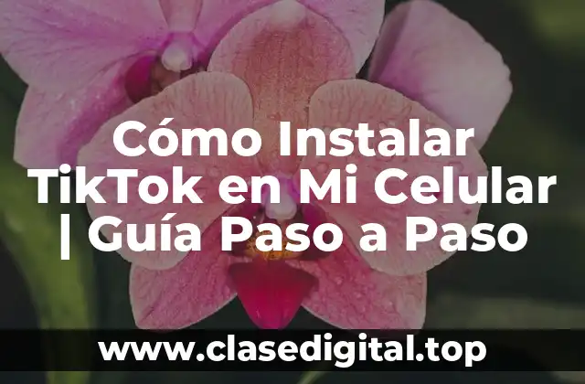 Cómo Instalar TikTok en Mi Celular | Guía Paso a Paso