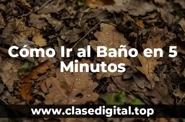 Cómo Ir al Baño en 5 Minutos