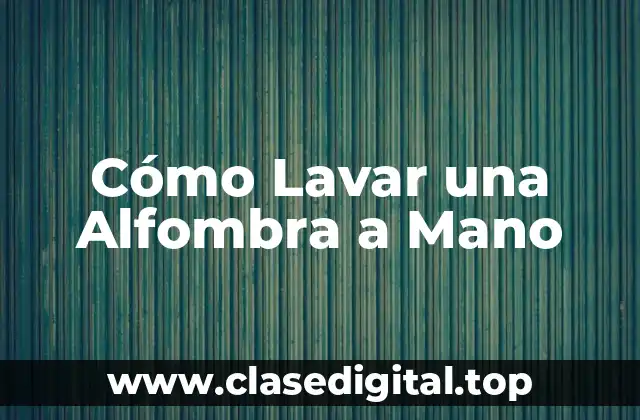 Cómo Lavar una Alfombra a Mano