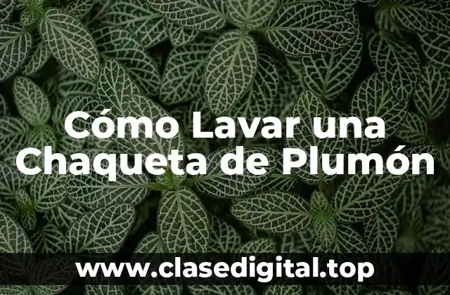 ¿Por Qué Es Importante Lavar tu Chaqueta de Plumón?