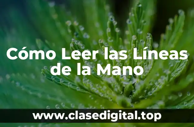 Cómo Leer las Líneas de la Mano