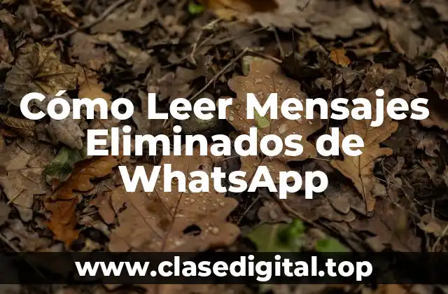 Cómo Leer Mensajes Eliminados de WhatsApp