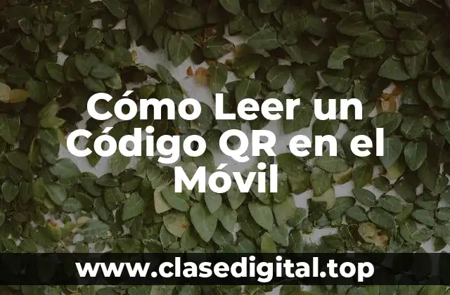 Cómo Leer un Código QR en el Móvil