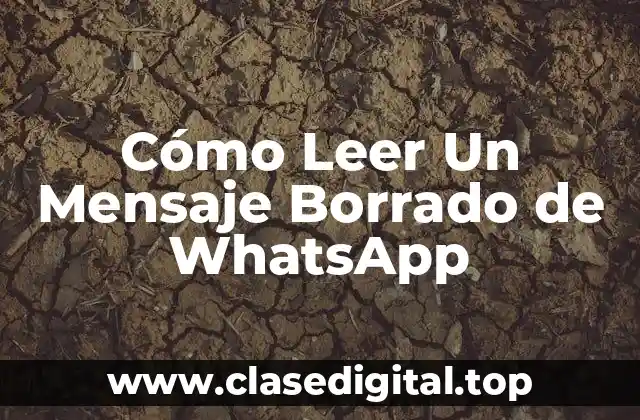 Cómo Leer Un Mensaje Borrado de WhatsApp