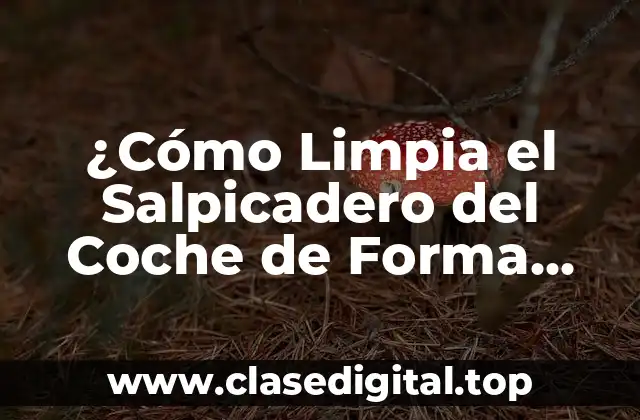 ¿Cómo Limpia el Salpicadero del Coche de Forma Efectiva?