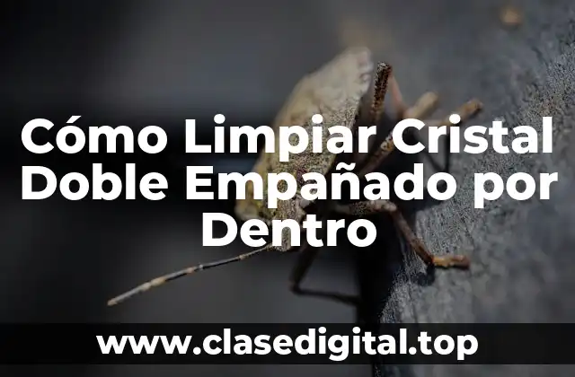 Cómo Limpiar Cristal Doble Empañado por Dentro
