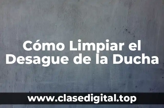 Cómo Limpiar el Desague de la Ducha