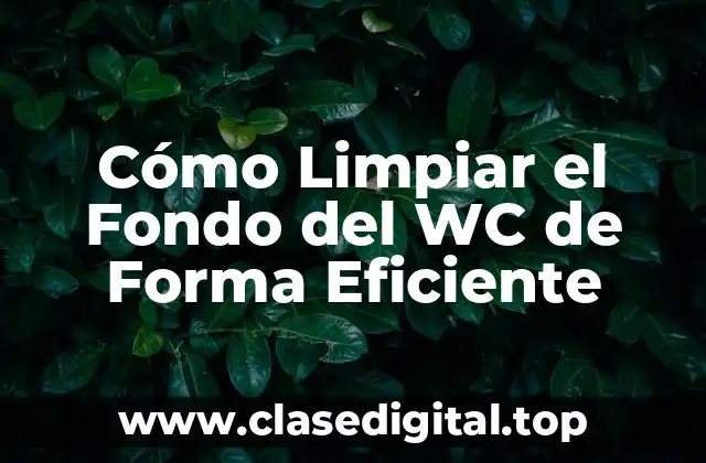 Cómo Limpiar el Fondo del WC de Forma Eficiente
