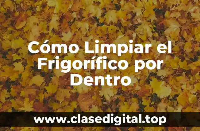 ¿Por qué es Importante Limpiar el Frigorífico por Dentro?