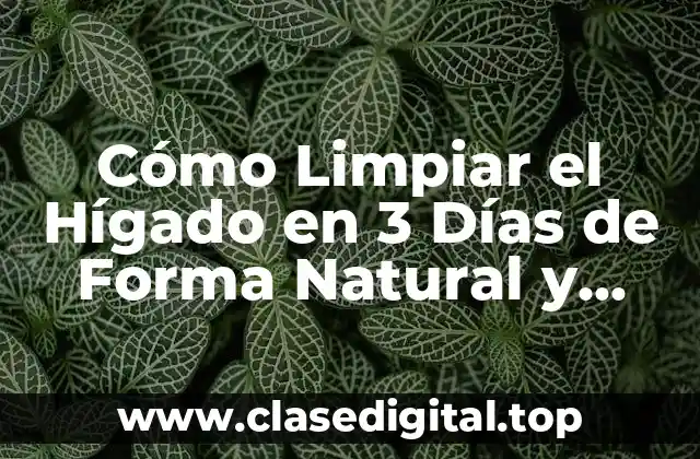Cómo Limpiar el Hígado en 3 Días de Forma Natural y Segura
