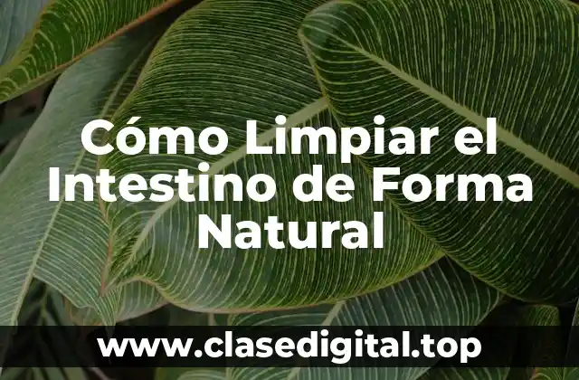 Cómo Limpiar el Intestino de Forma Natural