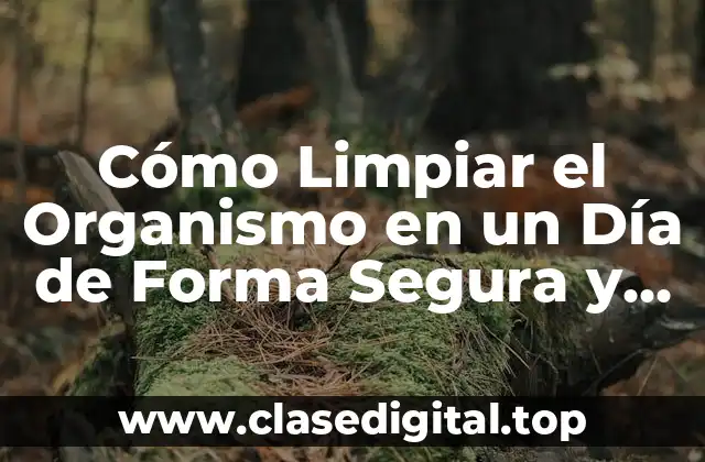 Cómo Limpiar el Organismo en un Día de Forma Segura y Efectiva