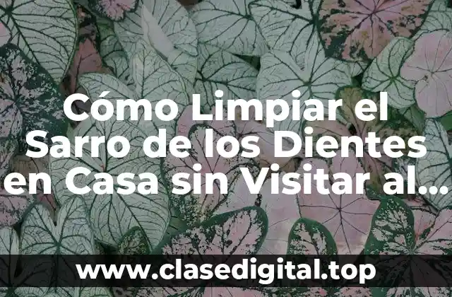 Cómo Limpiar el Sarro de los Dientes en Casa sin Visitar al Dentista