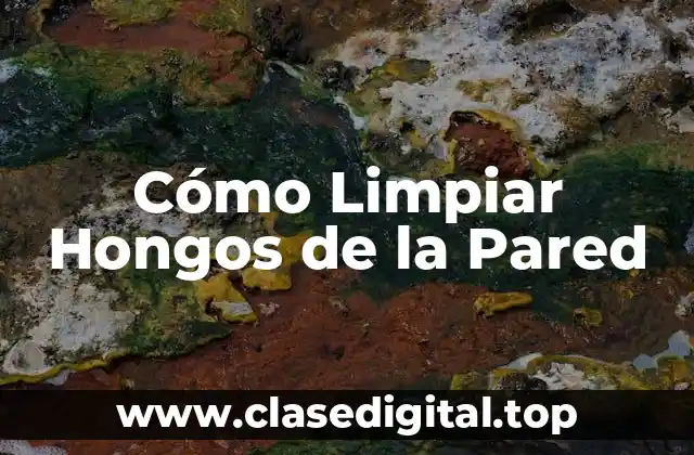 Cómo Limpiar Hongos de la Pared