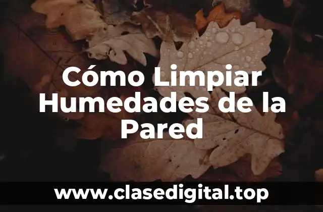 Cómo Limpiar Humedades de la Pared
