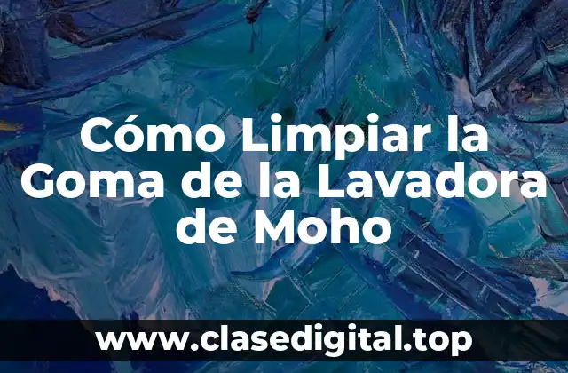 Cómo Limpiar la Goma de la Lavadora de Moho