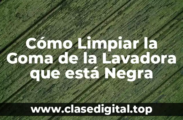 Cómo Limpiar la Goma de la Lavadora que está Negra
