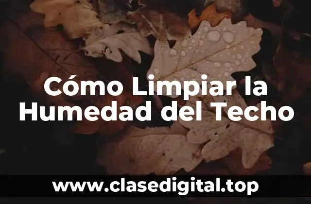 Cómo Limpiar la Humedad del Techo