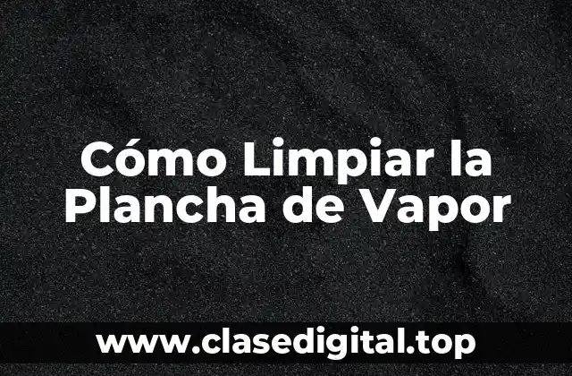 ¿Por qué es Importante Limpiar la Plancha de Vapor?